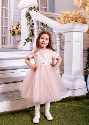 Short Sleeves Blush Pink Lace Tulle Flower Girl Dress